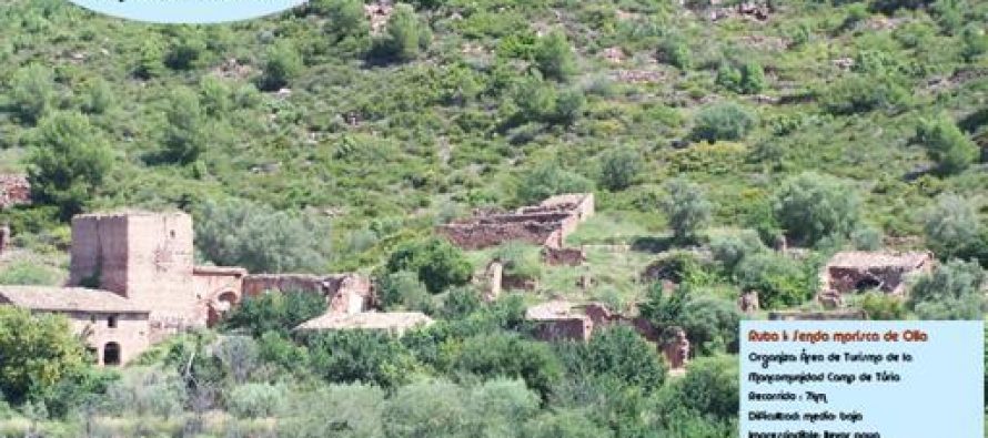 Rutas